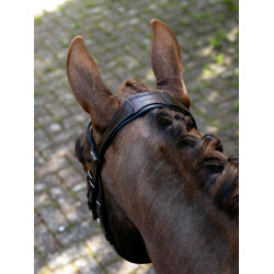 Arika Mexikanisches Reithalfter LeMieux