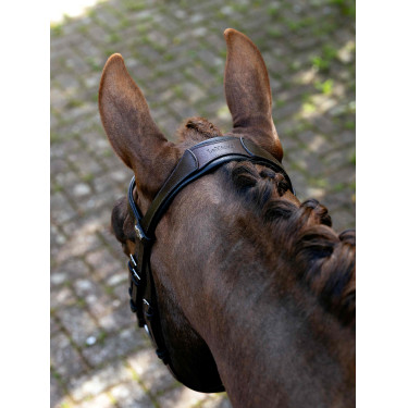 Arika Mexikanisches Reithalfter LeMieux