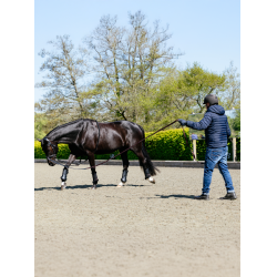 Rope Longierhilfe Schwarz LeMieux