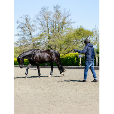 Rope Longierhilfe Schwarz LeMieux