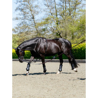 Rope Longierhilfe Schwarz LeMieux