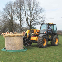 Sechseckige Futterraufe RPE...