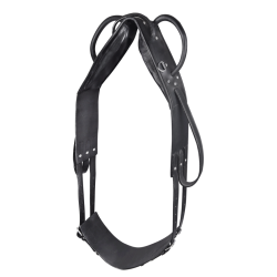 Voltigier- & Longiergurt aus Leder – Reitsport | EQUI-CLIC
