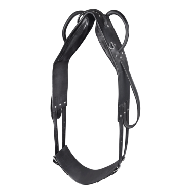 Voltigier- & Longiergurt aus Leder – Reitsport | EQUI-CLIC