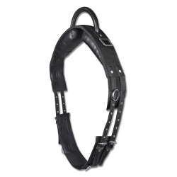 Longier-Surfaix Star mit Griff – Reiten Kinder | Equi-Clic