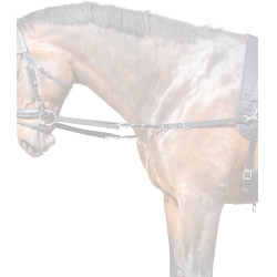 Ausbinder fürs Reiten STAR Nylon – verstellbar, Paar