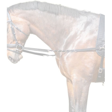 Ausbinder fürs Reiten STAR Nylon – verstellbar, Paar