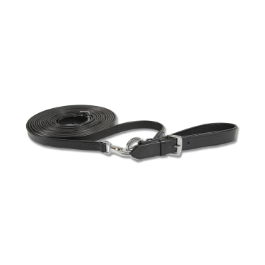 Reitzügel Leder mit Karabiner – Star, 2,5 m WB