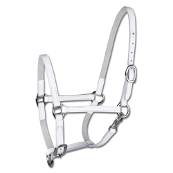 Leder-Vorführhalfter fürs Fohlen – Reitzubehör
