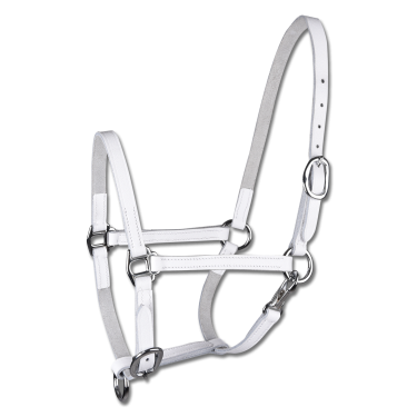 Leder-Vorführhalfter fürs Fohlen – Reitzubehör