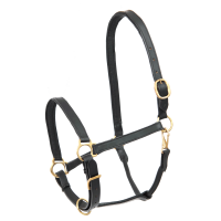 Lederhalfter Star Robust Schwarz
