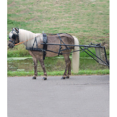 Pferdegeschirr Pony Shetland – Economic, Leder, Fahren