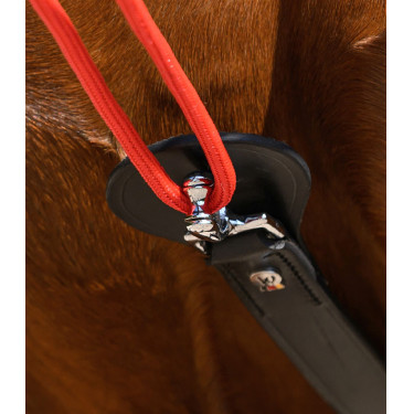 Dreieckszügel W-Train Waldhausen – Reiten & Longieren Dreieckszügel W-Train Waldhausen – Reiten & Longieren