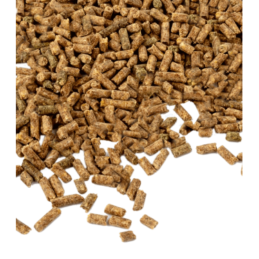 Pferdefutter Vitamin E Pellets Waldhausen – Muskelaufbau
