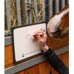 Magnettafel für Stall & Reitunterricht – Waldhausen Magnettafel für Stall & Reitunterricht – Waldhausen