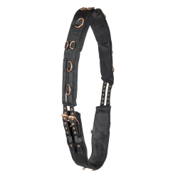 Waldhausen Longiergurt Roségold – Reitsport Zubehör