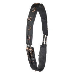 Waldhausen Longiergurt Roségold – Reitsport Zubehör