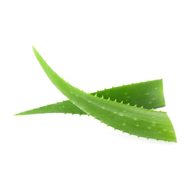 Pferde-Mähnenspray Aloe Vera 2,5 L – Waldhausen