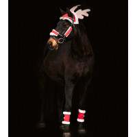 Waldhausen Weihnachtsset Pferd Rot