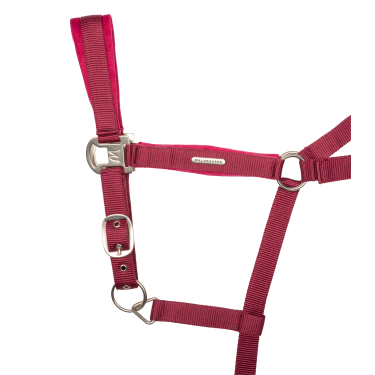 Waldhausen Halfter + Führstrick Velvet – Reitausrüstung Waldhausen Halfter + Führstrick Velvet – Reitausrüstung