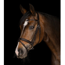 Trense für Reitsport Waldhausen X-Line Charmbit