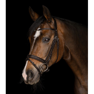 Trense für Reitsport Waldhausen X-Line Charmbit