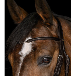 Trense für Reitsport Waldhausen X-Line Charmbit