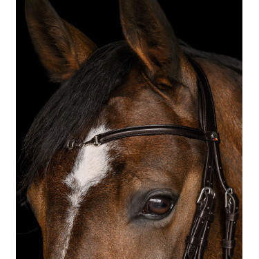 Trense für Reitsport Waldhausen X-Line Charmbit