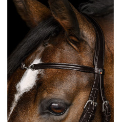 Trense für Reitsport Waldhausen X-Line Charmbit