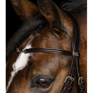 Trense für Reitsport Waldhausen X-Line Charmbit