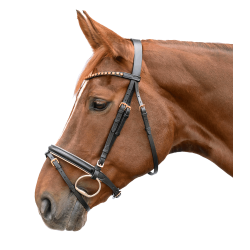 Trense für Pferd Star Roségold – Reiten Ausrüstung