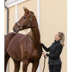 Leder-Halfter für Pferde Waldhausen S-Line Royal