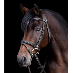 Trensenzaum fürs Reiten – Waldhausen X-Line, Komfort