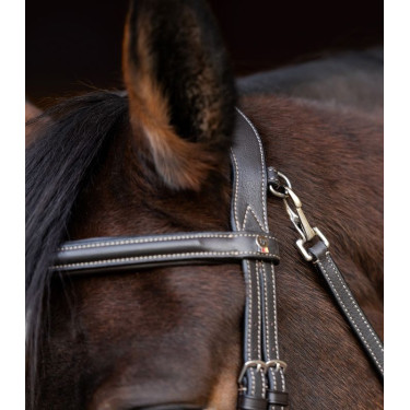 Trensenzaum fürs Reiten – Waldhausen X-Line, Komfort