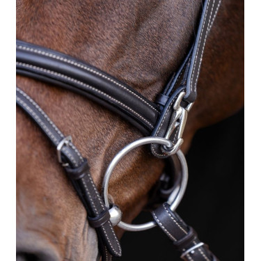 Trensenzaum fürs Reiten – Waldhausen X-Line, Komfort