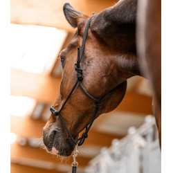 Knotenhalfter fürs Pferd mit Ring – Reitzubehör | EQUI-CLIC