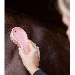 All-in-one Pferdebürste mit Schweißmesser | Equi-Clic