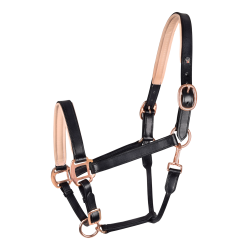 Waldhausen X-Line Lederhalfter Rosé – Reithalfter Waldhausen X-Line Lederhalfter Rosé – Reithalfter