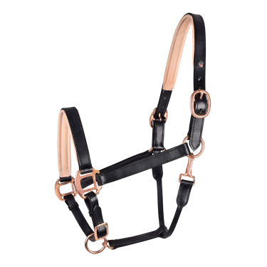 Waldhausen X-Line Lederhalfter Rosé – Reithalfter Waldhausen X-Line Lederhalfter Rosé – Reithalfter