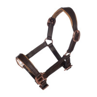 Lederhalfter Rosegold Hobby Horsing- HKM