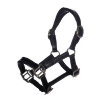 Lederhalfter Lack Hobby Horsing- HKM