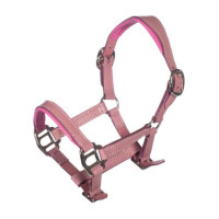Lederhalfter Pink Hobby Horsing- HKM