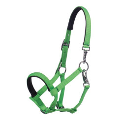 Fohlenhalfter fürs Reiten HKM Millie – verstellbar