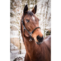 Neon-Pferdehalfter für Reitsport – HKM Neon Flash