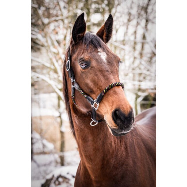 Neon-Pferdehalfter für Reitsport – HKM Neon Flash