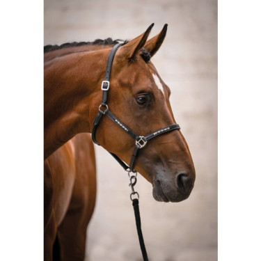 Lederhalfter fürs Pferd – HKM Sparkle | Equi-Clic