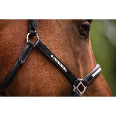 Lederhalfter fürs Pferd – HKM Sparkle | Equi-Clic