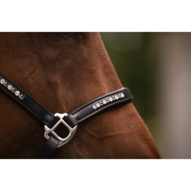 Lederhalfter fürs Pferd – HKM Sparkle | Equi-Clic