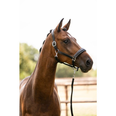 Lederhalfter fürs Pferd HKM Glamour – Reitzubehör