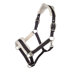 Pferdehalfter Arezzo – Lauria Garrelli | Equi-Clic Pferdehalfter Arezzo – Lauria Garrelli | Equi-Clic